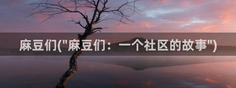 麻豆最新：麻豆们(\