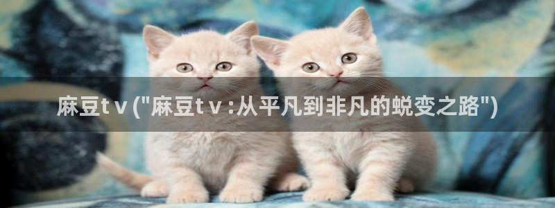 麻豆精品免费：麻豆tⅴ(\