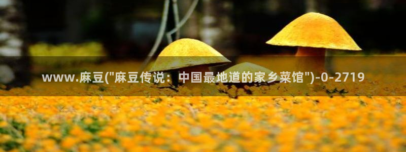 91麻豆国产专区：www.麻豆(\