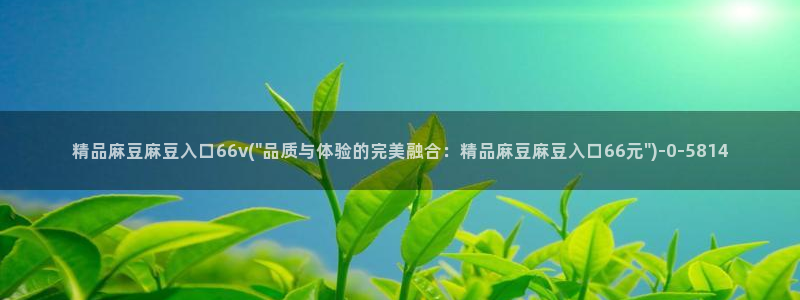 麻豆免费专区：精品麻豆麻豆入口66v(\