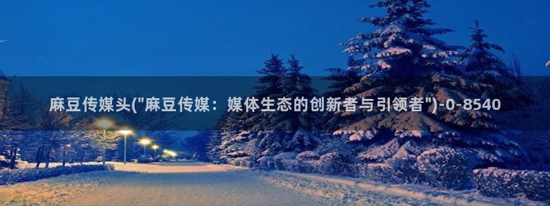 麻豆麻豆：麻豆传媒头(\