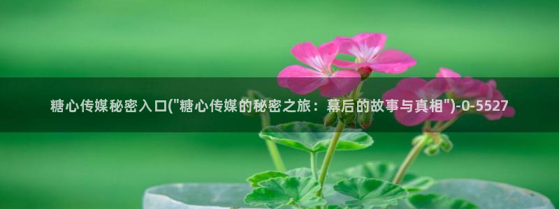 糖心vlog.：糖心传媒秘密入口(\