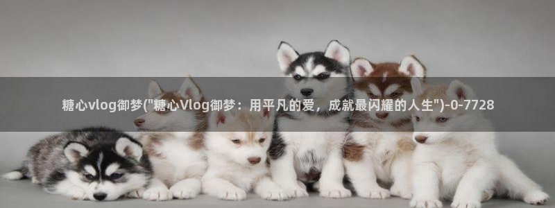 糖心vlog9：糖心vlog御梦(\