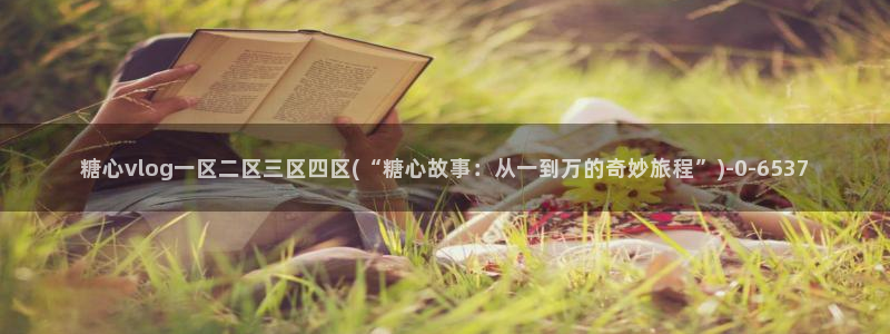 糖心vlog国产入口：糖心vlog一区二区三区四