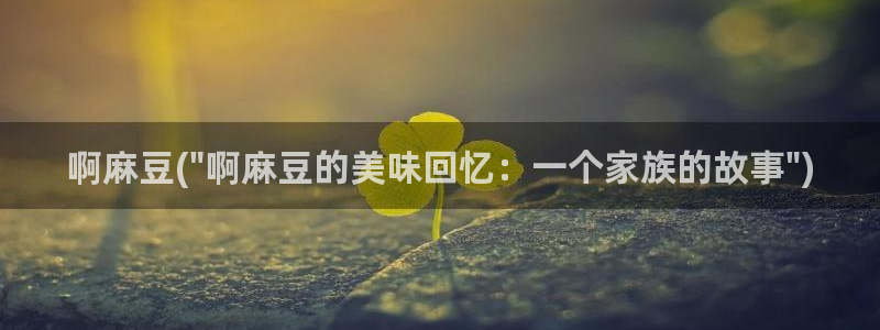 麻豆专区一：啊麻豆(\