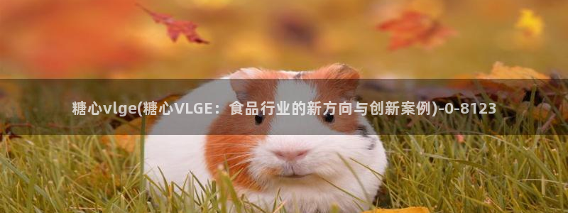 糖心vlog苏小：糖心vlge(糖心VLGE：食品行业的新方向与创新案例)