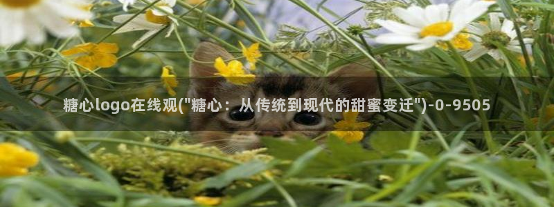 糖心vlog女：糖心logo在线观(\
