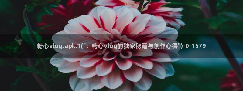 糖心vlog黄色视频：糖心vlog.apk.1(\