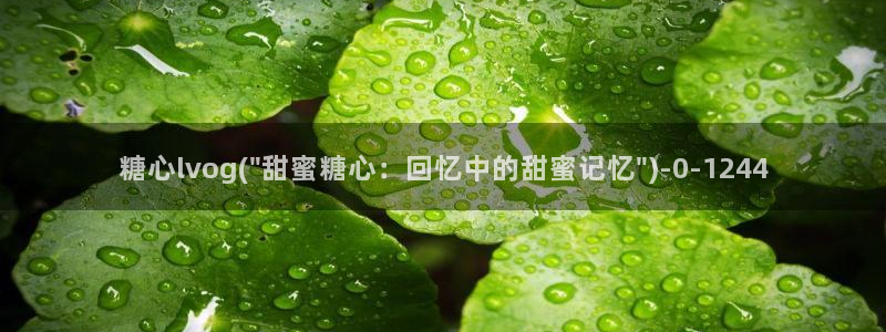 糖心vlog许木学长：糖心lvog(\
